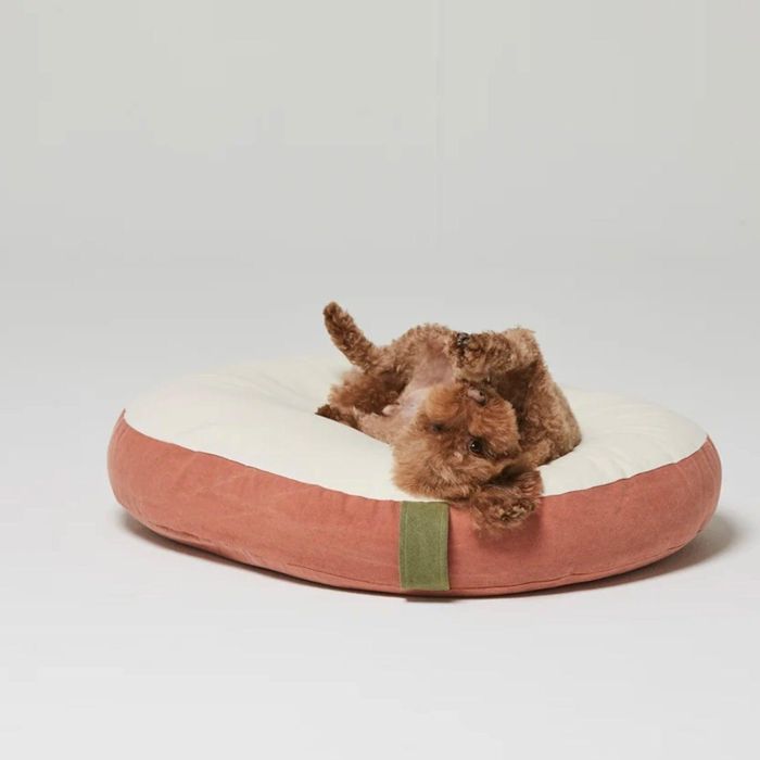 即納【Bad Marlon Design Studio.】Haro Cushion（Coral） 韓国 ブランド かわいい おしゃれ プレゼント 小型犬 NEW クッションのサムネイル