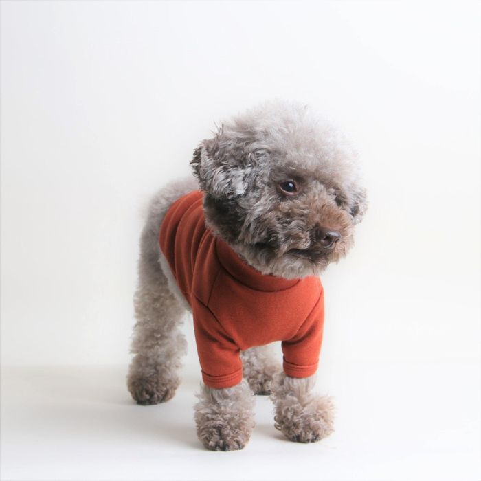 ¨ǼOriginalۥ١å롼ͥååȥʥ֥饦 ڹ ֥ 襤  ץ쥼  NEW  ...