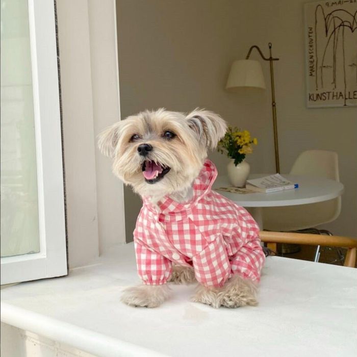 楽天URBAN DOG TOKYO 楽天市場店※予約販売【Bonjour TOU-TOU】French all in one rain coat（Red） 韓国 ブランド かわいい おしゃれ プレゼント 小型犬 ハーネス レインコート 散歩グッズ NEW 春 夏 秋 お出かけ 軽量 雨