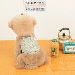 ※予約販売【BITE ME】Refrigerator Grandmother Tee（White） 韓国 ブランド かわいい おしゃれ プレゼント 小型犬 NEW 春 夏 秋 ペット用品