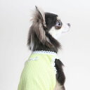 即納【ZOOBICO】レース剥ぎリボンタンクトップ(イエロー) 韓国 ブランド かわいい おしゃれ プレゼント 小型犬 リンクコーデ NEW 春 夏