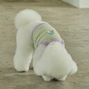 ※予約販売【andblank】Jelly Phant Stripe Crop Top 犬服 ドッグウェア 犬の服 小型犬 小型犬服 犬用品 ドッググッズ スリーブレス 夏 夏服