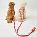即納【iCANDOR】GENTLE LEASH DUAL(SIGNATURE) 韓国 犬用品 ドッググッズ リード 散歩用品 散歩リード 犬用リード 引き綱 り...