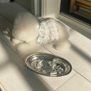 ※予約販売【Hi Yeboo】Emily Tweed OPS(Silver) 犬服 ドッグウェア 犬の服 小型犬 小型犬服 ワンピース 韓国 犬用品 ドッググッ...