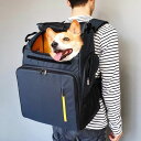 ※予約販売【INSIDE DOG & CAT】Inside L Backpack1(グレー/イエロー) 韓国 ブランド かわいい おしゃれ プレゼント 小型犬 ...