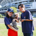 即納【FIFA WORLD CUP QATAR 2022_】FIFA owner men's T-shirt（Navy）サッカー 日本代表 日本 ジャパン JAPAN お揃い リンクコーデ メンズ Tシャツ サムライジャパン 侍 JAPAN オフィシャルライセンス ライセンス ペットとお揃い おしゃれ 綿 ネイビー 紺 オーバーサイズ