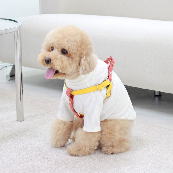 ※予約販売【maison de miu】 Running Mate Harness(Yellow / Coral) 韓国 ブランド かわいい おしゃれ プレゼン...