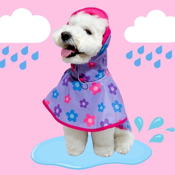ͽTOOFEASY TO WEAR DAISY RAINCOAT ڹ ֥ 襤  ץ쥼  쥤...