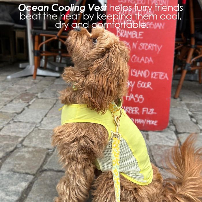 ※予約販売【iCANDOR】OCEAN COOLING VEST（LEMON SHERBET） 犬服 ドッグウェア 犬の服 小型犬 小型犬服..