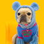 ※予約販売【TOOF】PUPPY TEDDY BEAR NECKWARMER（Blue） 韓国 ブランド かわいい おしゃれ プレゼント 小型犬 NEW 秋 冬