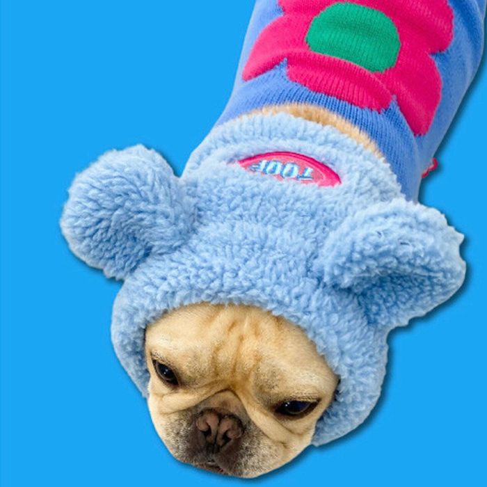 ※予約販売【TOOF】PUPPY TEDDY BEAR NECKWARMER（Blue） 韓国 ブランド かわいい おしゃれ プレゼント 小型犬 NEW 秋 冬 2