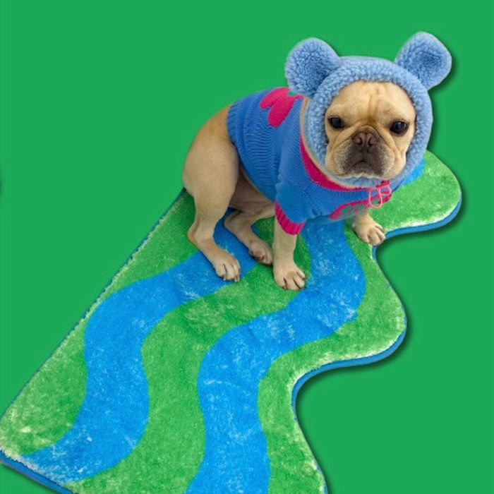 ※予約販売【TOOF】PUPPY TEDDY BEAR NECKWARMER（Blue） 韓国 ブランド かわいい おしゃれ プレゼント 小型犬 NEW 秋 冬 3