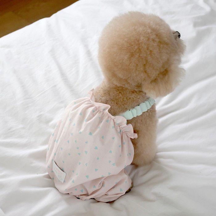 ※予約販売【near by us】Heart Romper（Pink mint） 犬服 ドッグウェア 犬の服 小型犬 小型犬服 犬用品..