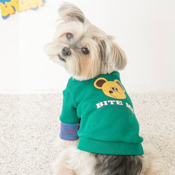 ※予約販売【BITE ME】fake layered sweatshirt（Green） 韓国 ブランド かわいい おしゃれ プレゼント 小型犬 NEW 春 秋 ペット用品