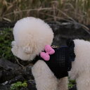 ※予約販売【BeBe Breath】Bev Harness(Navy) 韓国 ブランド かわいい おしゃれ プレゼント 小型犬 ハーネス 散歩グッズ NEW 春 夏 秋 冬