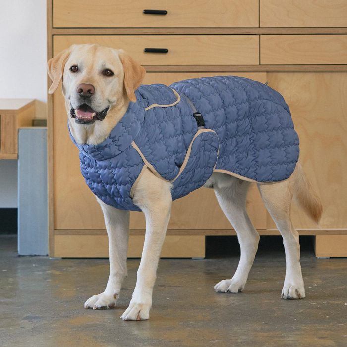 ※予約販売【munikund】Thermal Up Padding （Blue） 犬服 ドッグウェア 防寒 冬 冬服 犬の服 犬用品 ドッググッズ 大型犬 大型犬服