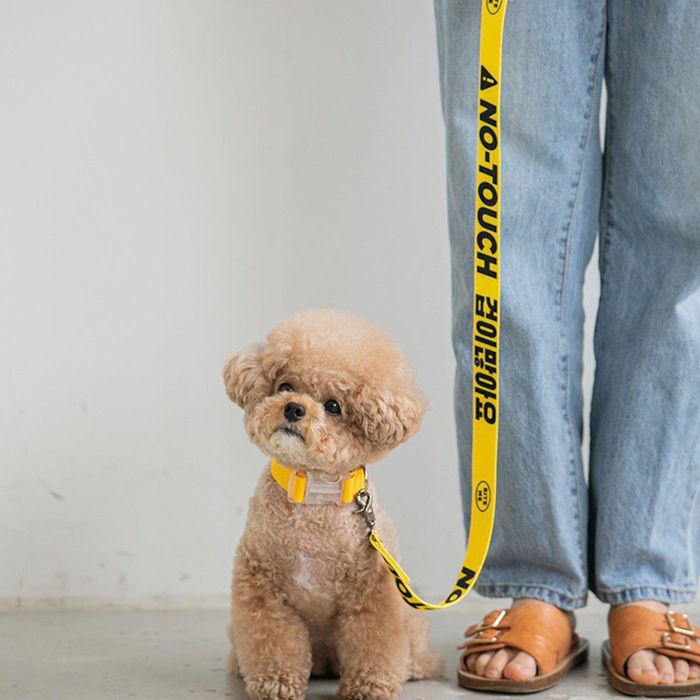 ¨ǼBITE MEMessage Leash ڹ  ɥåå ꡼ ꡼ Υ꡼ ѥ꡼  ꡼ ...