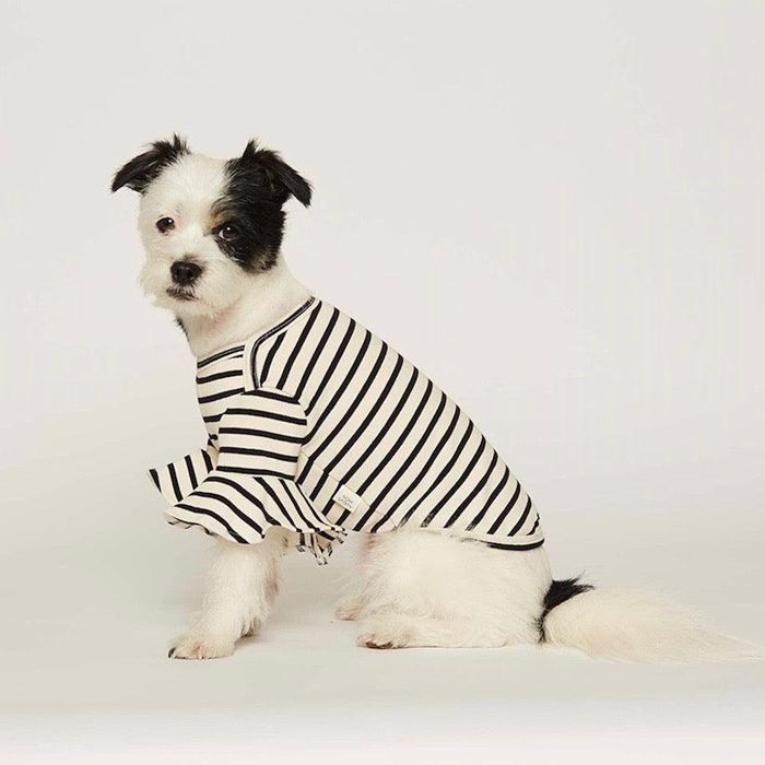 即納【augusmon】Border Flare sleeve TOPS（ホワイト） 韓国 ブランド かわいい おしゃれ プレゼント 小型犬 NEW 春 夏 秋 冬