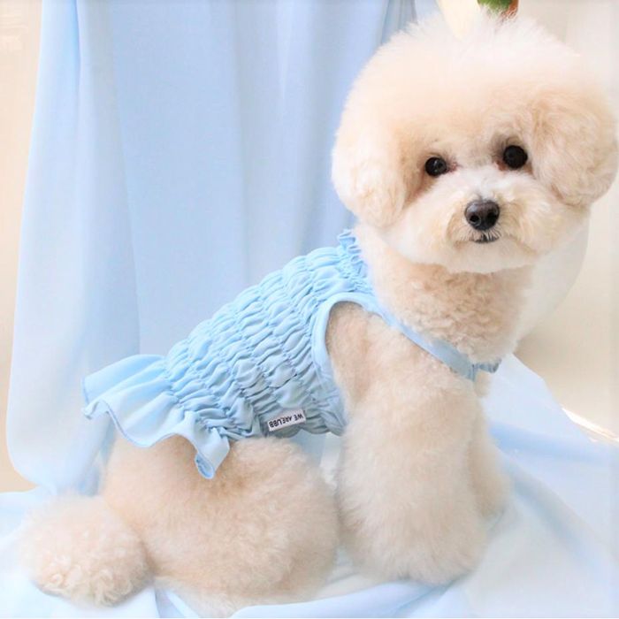 即納【UDIBBOBAE】コットンキャンディーワンピース（ブルー） 韓国 ブランド かわいい おしゃれ プレゼント 小型犬 ワンピース ドレス NEW 春 夏 犬