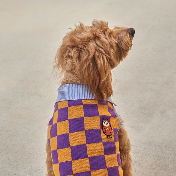 ¨ǼandblankMystery Owl Checkered knit ڹ ֥ 襤  ץ쥼  NEW...