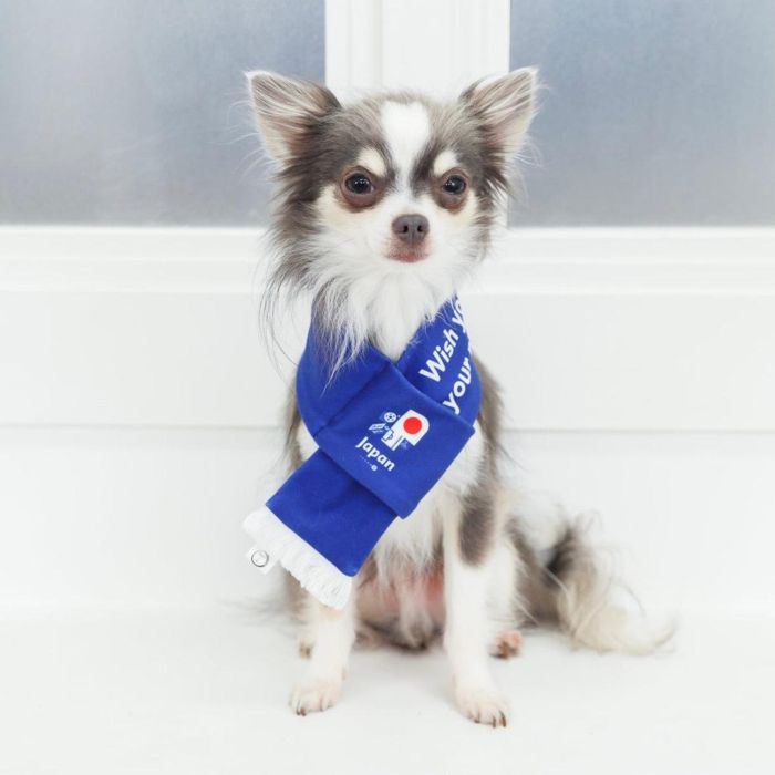 即納【FIFA WORLD CUP QATAR 2022_】FIFA dog muffler / 犬用 マフラー ストール サッカー 日本代表 日本 ジャパン JAPAN サムライジャパン 侍 JAPAN オフィシャルライセンス ライセンス おしゃれ 応援 日の丸 グッズ ドッグマフラー 防寒 応援グッズ アクセサリー 犬用品のサムネイル