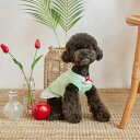 即納【BENNYS】コットンリボントップス（ミント） 韓国 ブランド かわいい おしゃれ プレゼント 小型犬 リンクコーデ NEW 春 夏 秋 3