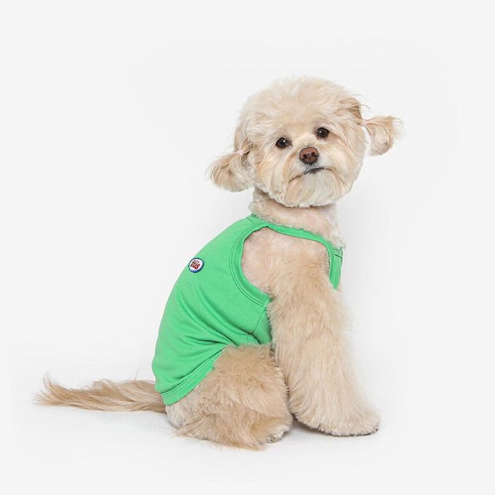 ¨ǼTUSTUSCOOL STRAP TEEGREEN  ɥå  ꡼֥쥹 T  ɥåå ...
