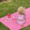 ※予約販売【FREDDIE TALE】Sweet bubble bikini(Pink) 犬用品 ドッググッズ 犬服 ドッグウェア 犬の服 小型犬 小型犬服 水着 犬用水着 犬の水着
