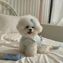 ※予約販売【Hi Yeboo】Cozy Skirt(Blue) 韓国 ブランド かわいい おしゃれ プレゼント 小型犬 ワンピース ドレス NEW 春 夏 秋 ...