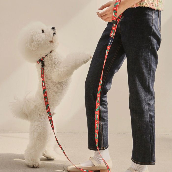 即納【andblank】LAZY CROCODILE LEAD 韓国 犬用品 ドッググッズ リード 散歩リード 犬のリード 犬用リード 引き綱 りーど 犬リード