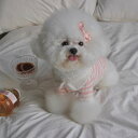 ※予約販売【Hi Yeboo】Cozy Cardigan(Pink) 韓国 ブランド かわいい おしゃれ プレゼント 小型犬 NEW 春 夏 秋 冬