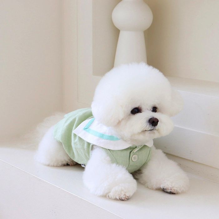 ※予約販売【Chiot】Pastel linen cape top（Mint） 韓国 ブランド かわいい おしゃれ プレゼント 小型犬 お揃い ケープ NEW 春 夏 秋