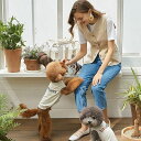 即納【ONE OF US】brother TOPS(グレージュ) 韓国 ブランド かわいい おしゃれ プレゼント 小型犬 NEW 春 夏 秋 犬
