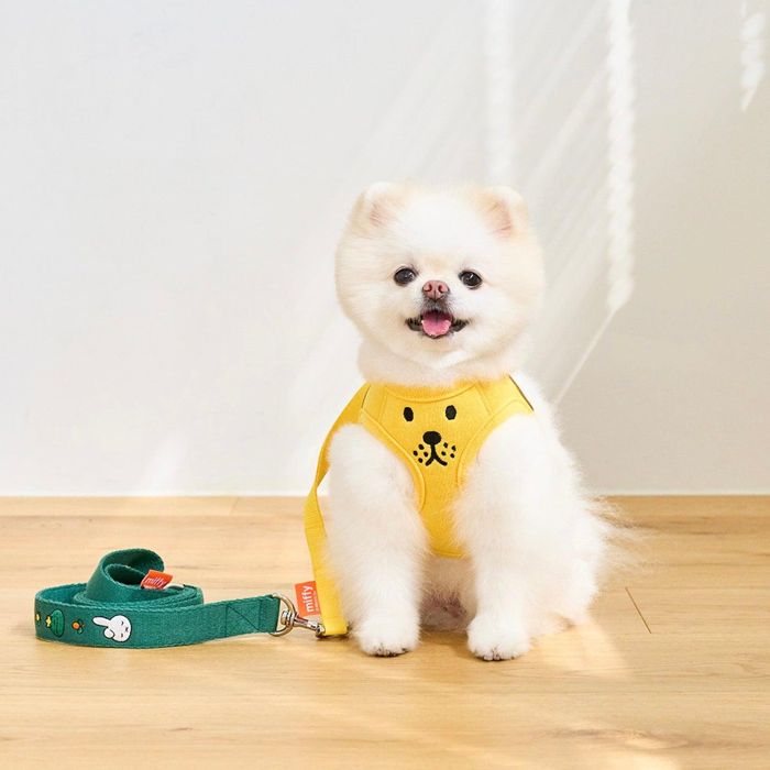 楽天URBAN DOG TOKYO 楽天市場店※予約販売【noutti】Miffy & Friends face harness（Lion） 韓国 ブランド かわいい おしゃれ プレゼント 小型犬 ハーネス リード 散歩グッズ キャラクター miffy ミッフィー NEW ペット用品