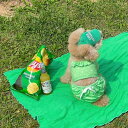 ※予約販売【FREDDIE TALE】Sweet bubble bikini(Green) 犬用品 ドッググッズ 犬服 犬の服 ドッグウェア スリーブレス 小型犬 小型犬服 犬用水着 可愛い水着