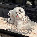 ※予約販売【Hi Yeboo】Angelina Sleeveless 犬服 ドッグウェア 犬の服 小型犬 小型犬服 犬用品 ドッググッズ スリーブレス 春 夏