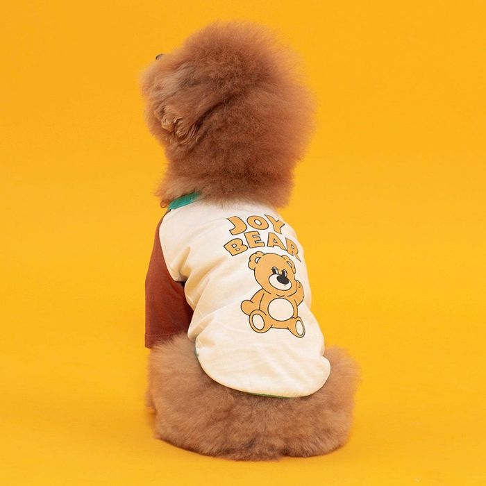 ※予約販売【andblank】Iconic Color Block T-Shirt（Joy Bear） 犬服 ドッグウェア 犬の服 大型犬 大型犬服 中型犬 中型犬服 小型犬 小型犬服 犬用品