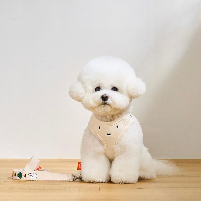 予約販売【noutti】Miffy & Friends face harness miffy 韓国 ブランド かわいい おしゃれ プレゼント 小型犬 ハーネス リード 散歩グッズ キャラクター miffy ミッフィー NEW ペット用品
