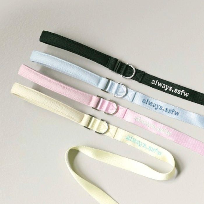 即納【ssfw】Everyday Leash 犬用品 ドッググッズ リード 散歩用品 散歩リード 犬用リード 犬リード 引..