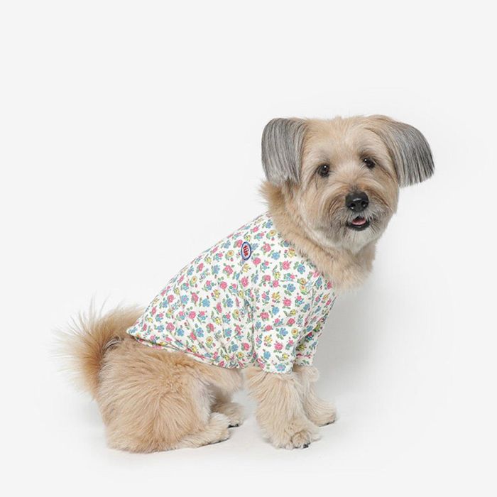 ¨ǼTUSTUSFlower Frill Tee  ɥå T ꡼֥쥹     ɥå...