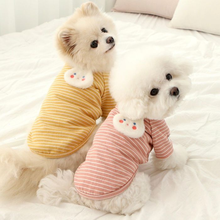 ※予約販売【ITS DOG】Fluffy Rabbit Cotton T-shirt