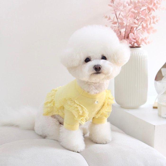 ¨ǼGET BACKGet heat crop T-shirtYellow ڹ  ɥåå T ꡼֥쥹 ɥ...