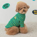 ※予約販売【BITE ME】Street boy Striped T-shirt（Green） 韓国 ブランド かわいい おしゃれ プレゼント 小型犬 NEW 春 秋 冬 ペット用品