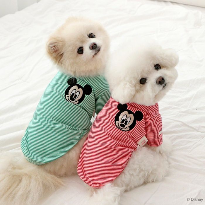 ※予約販売【ITS DOG】Disney Mickey Stripe T-Shirt