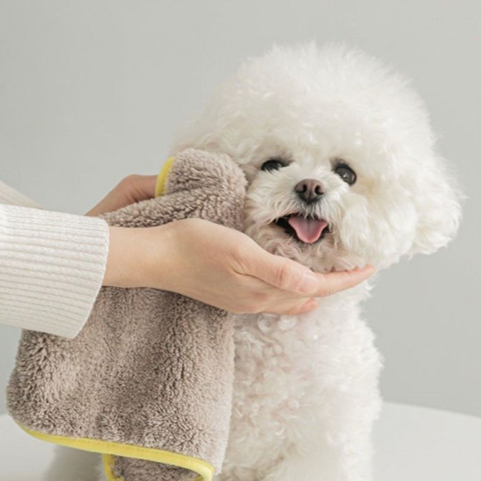 [yBITE MEzMicrofibre Pet Towel Dry Me Mini (2 pieces) ؍ uh 킢  v[g ^ ^I nJ` Vv[ NEW H ~ J