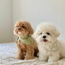 即納【GOPE】Signature Dog Bandana(アイボリー) 韓国 ブランド かわいい おしゃれ プレゼント 小型犬 NEW 春 夏 秋 冬 お出か...