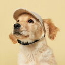 ※予約販売【MLB KOREA】MLB Basic Logo Cap（Beige） 韓国 ブランド かわいい おしゃれ プレゼント 小型犬 お揃い リンクコーデ NEW 犬