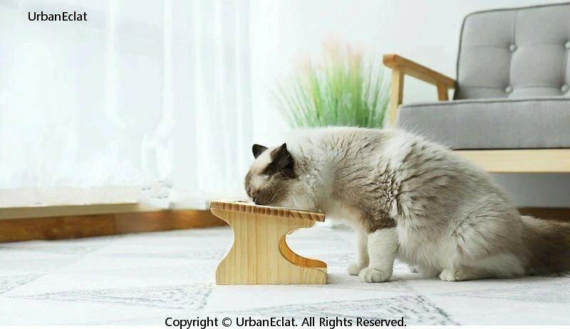 食器台 猫食器 ペット食器 ペットボウル 猫 小型犬 セラミックボウル 陶器 餌入れ ...