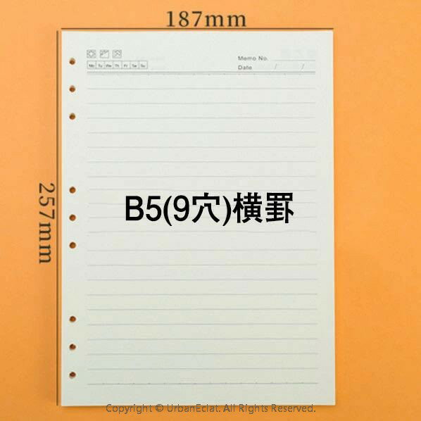 システム手帳用リフィル B5 ルーズリーフ 横罫 バインダー メモ ビジネス手帳 リフィル用紙 詰め替え 厚型 9穴 5冊 無地 送料無料