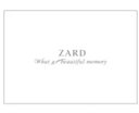 ZARD(ザード)坂井泉水「What a beautiful memory 2007」 パンフレット